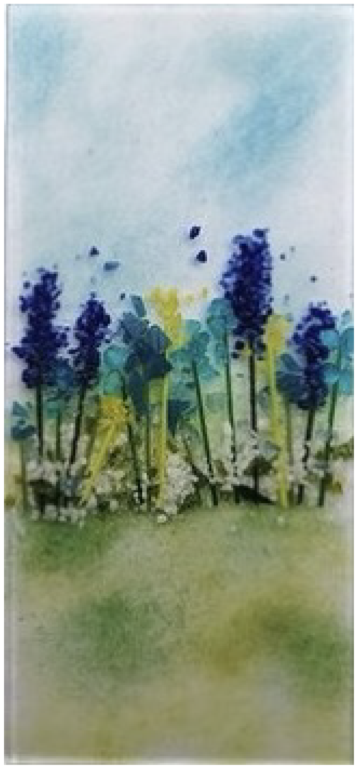 Untitled-17